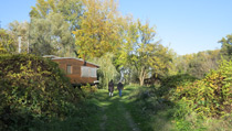 Balkan DMC