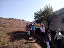 Balkan DMC